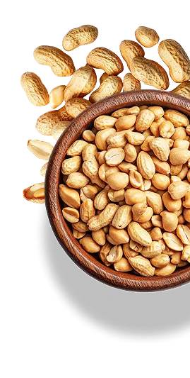  Spesialis Kacang Bawang No.1 di Indonesia bg banner