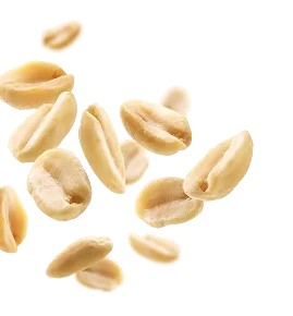  Spesialis Kacang Bawang No.1 di Indonesia bg banner